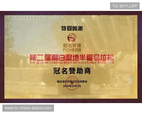 城市为赛事提供税收优惠政策鼓励企业参与赞助，小城市举办大型赛事